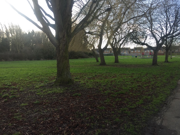 Lakes Lane and Westbury parks