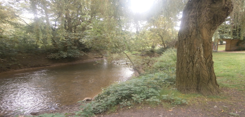 Ousebank gardens