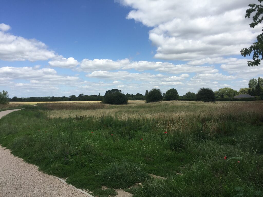 Bury Field Common