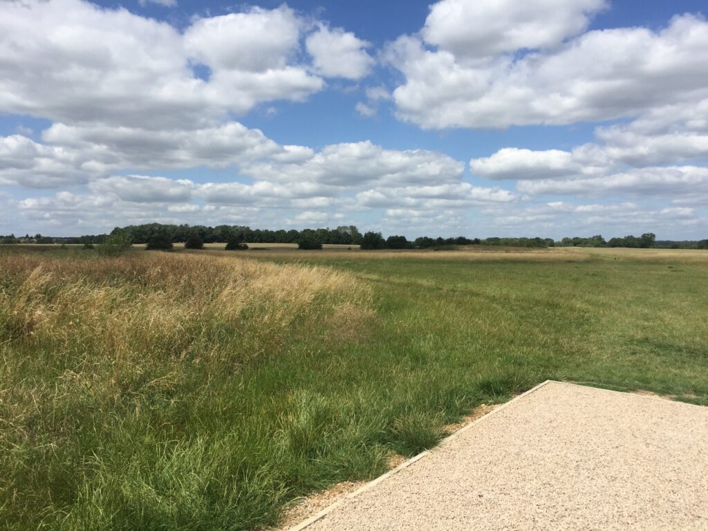 Bury Field Common